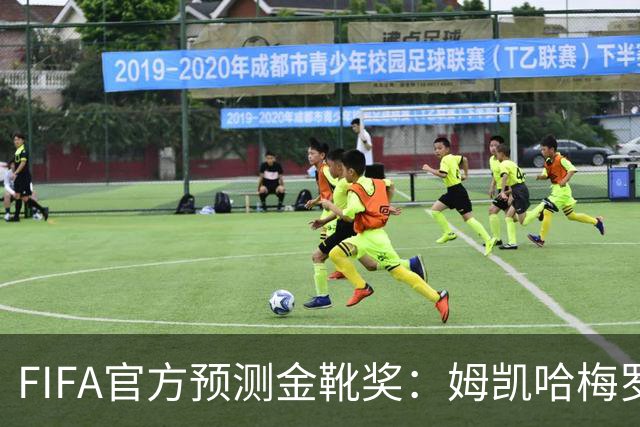 FIFA官方预测金靴奖：姆凯哈梅罗登 西班牙巴西各2席